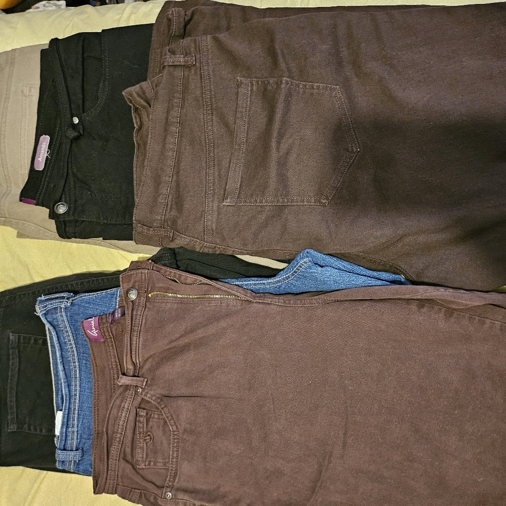 Used Gloria Vanderbilt Amanda pants size 20w